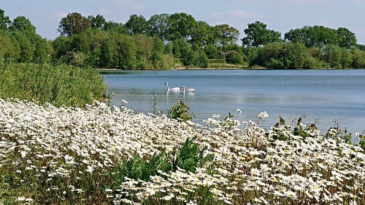 De Sprokkel Bed & Breakfast Milsbeek Luaran gambar